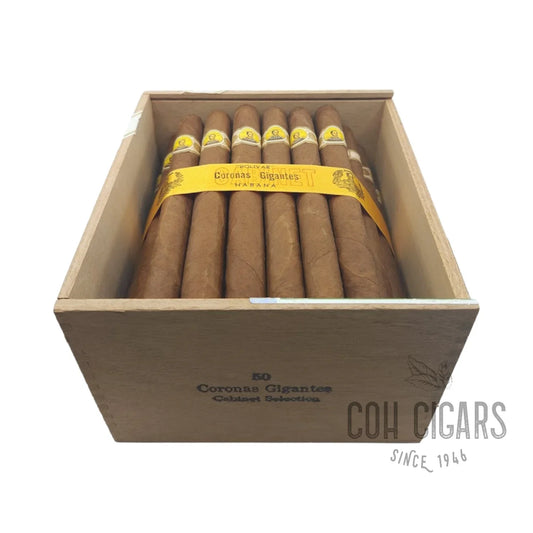Vintage 2008 | Bolivar Coronas Gigantes Box 50