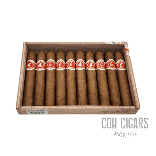 Elegidos | Box 10 | La Flor De Cano cigar - HK CohCigars