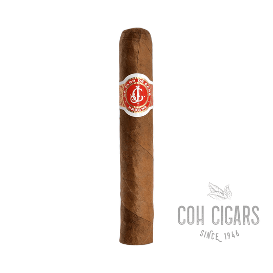 La Flor De Cano Cigar | Elegidos | 5 Pack - HK CohCigars