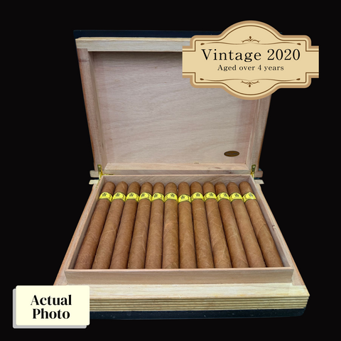 Vintage 2020 | Trinidad Coleccion Habanos Edicion 2019 Casilda  | Box 24 (Box Code: TLU AG0 20)