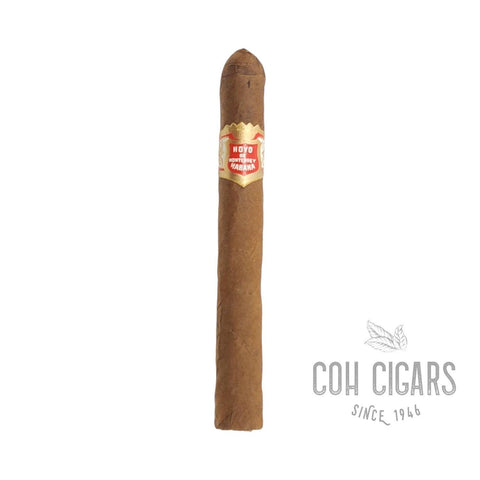 2001 Cajon Exquisitios | Box 100 | Hoyo de Monterrey cigar - HK CohCigars