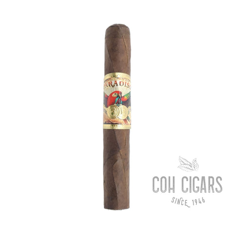 Paradiso Cigar | Minutos  | Box 22