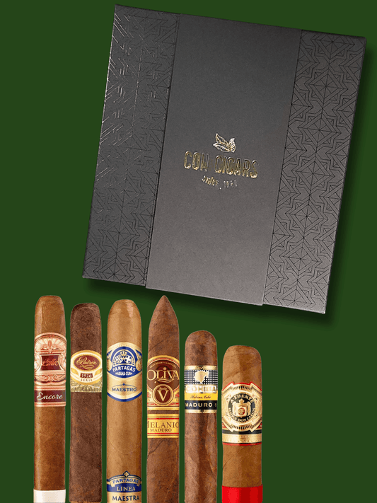 2024 Cigars Aficionado's Sampler 前10名頂級雪茄套裝 | Box 6 | COH Sampler cigar - HK CohCigars -雪茄