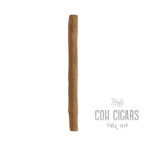 Club | Box 10x10 | Cohiba Cigars