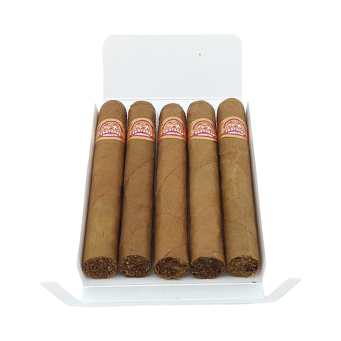 Mille Fleurs | Box 5 | Partagas cigar