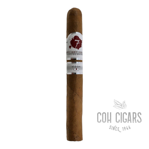 Culinary Art Collection Nigori | Box 20 | El Septimo Cigars