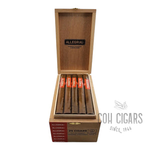 Allegria Lonsdale | Box 25 | illusione Cigars