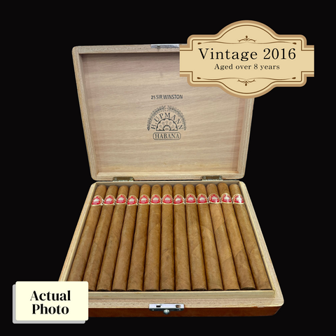 Vintage 2016 | H.Upmann Sir Winston  | Box 25 (Box Code: MEL JUN 16)