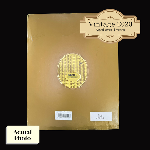 Vintage 2020 | Trinidad Coleccion Habanos Edicion 2019 Casilda  | Box 24 (Box Code: TLU AG0 20)