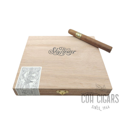 Warped Cigar | Flor Del Valle Skyflower  | Box 10