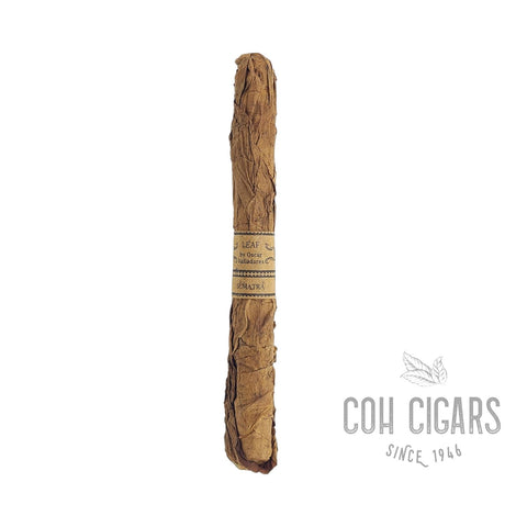 Oscar Valladares Cigar | Leaf Sumatra Lancero  | Box 20