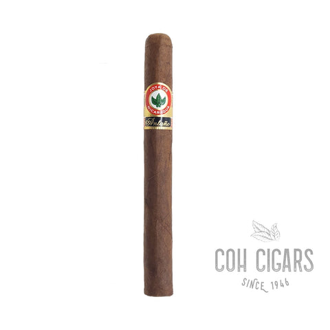 Joya De Nicaragua Cigar | Antano Churchill  | Box 20