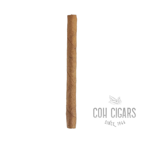 Club Humidor | Box 50 | Montecristo Cigars