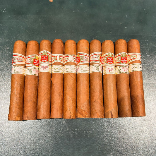 10x Hoyo de Monterrey Epicure No.2 (Damaged Bundle Packs - COH_005)