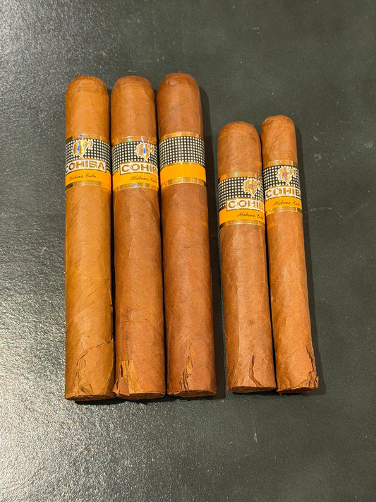 Cohiba: 3x Siglo VI, 1x Robusto, 1x Siglo II (Average Damage Score: 1.5) | DC-15