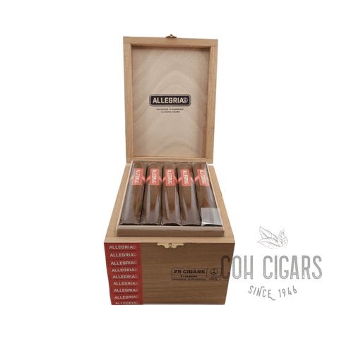 Allegria Gordo | Box 25 | illusione cigar - HK CohCigars