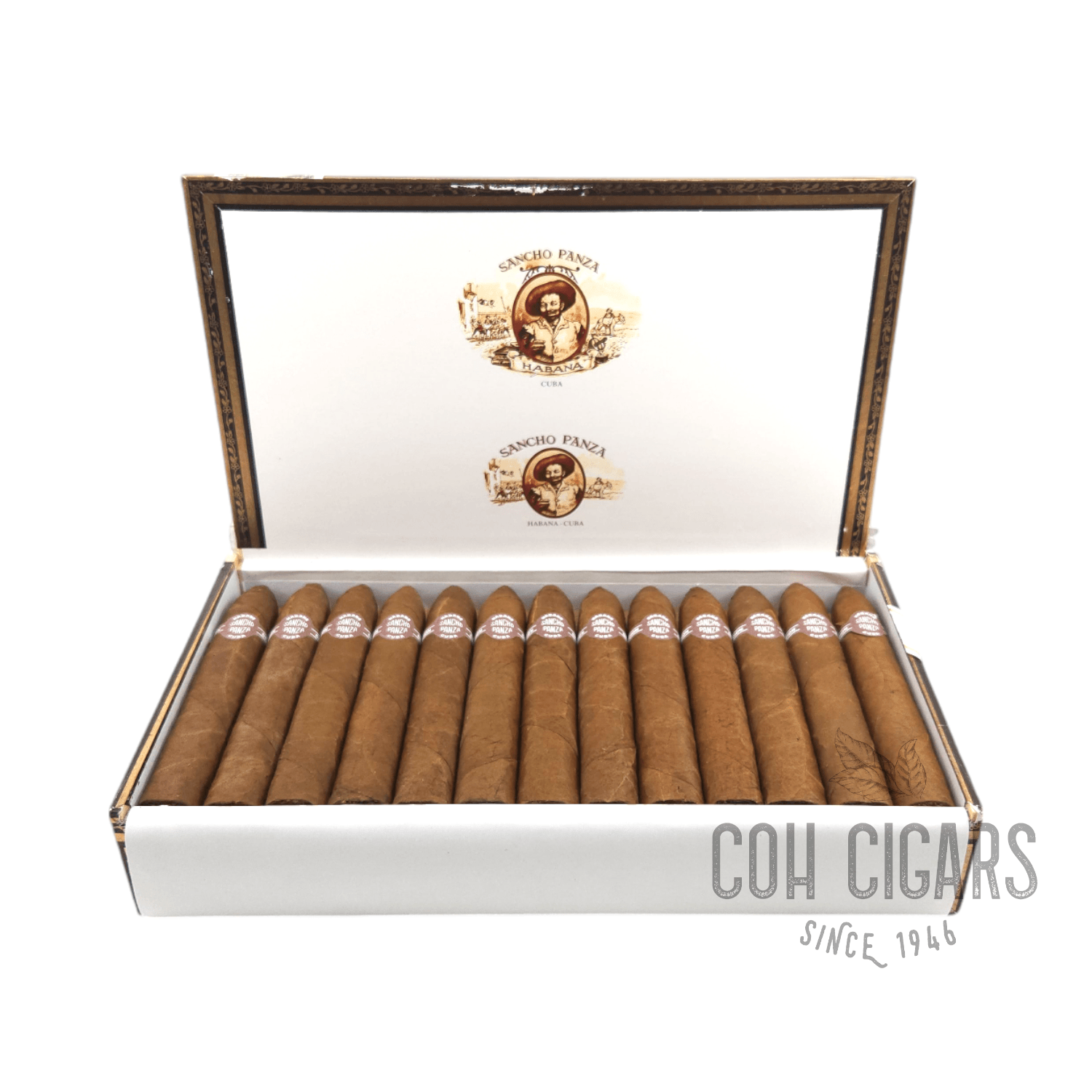 Belicosos | Box 25 | Sancho Panza cigar - HK CohCigars