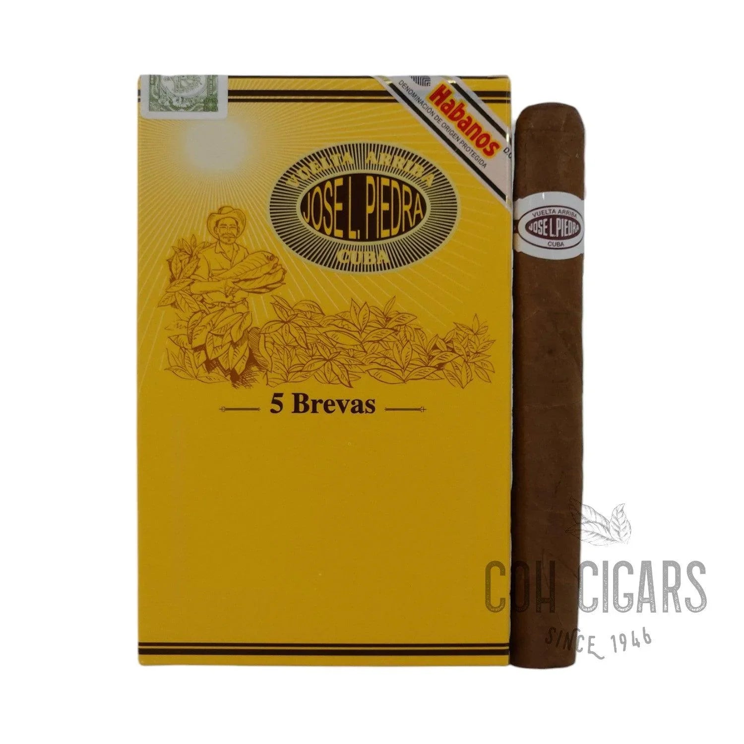 Brevas | Box 5x5 | Jose L. Piedra Cigars - HK CohCigars -雪茄