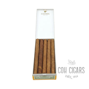 Club | Box 10x10 | Cohiba Cigars