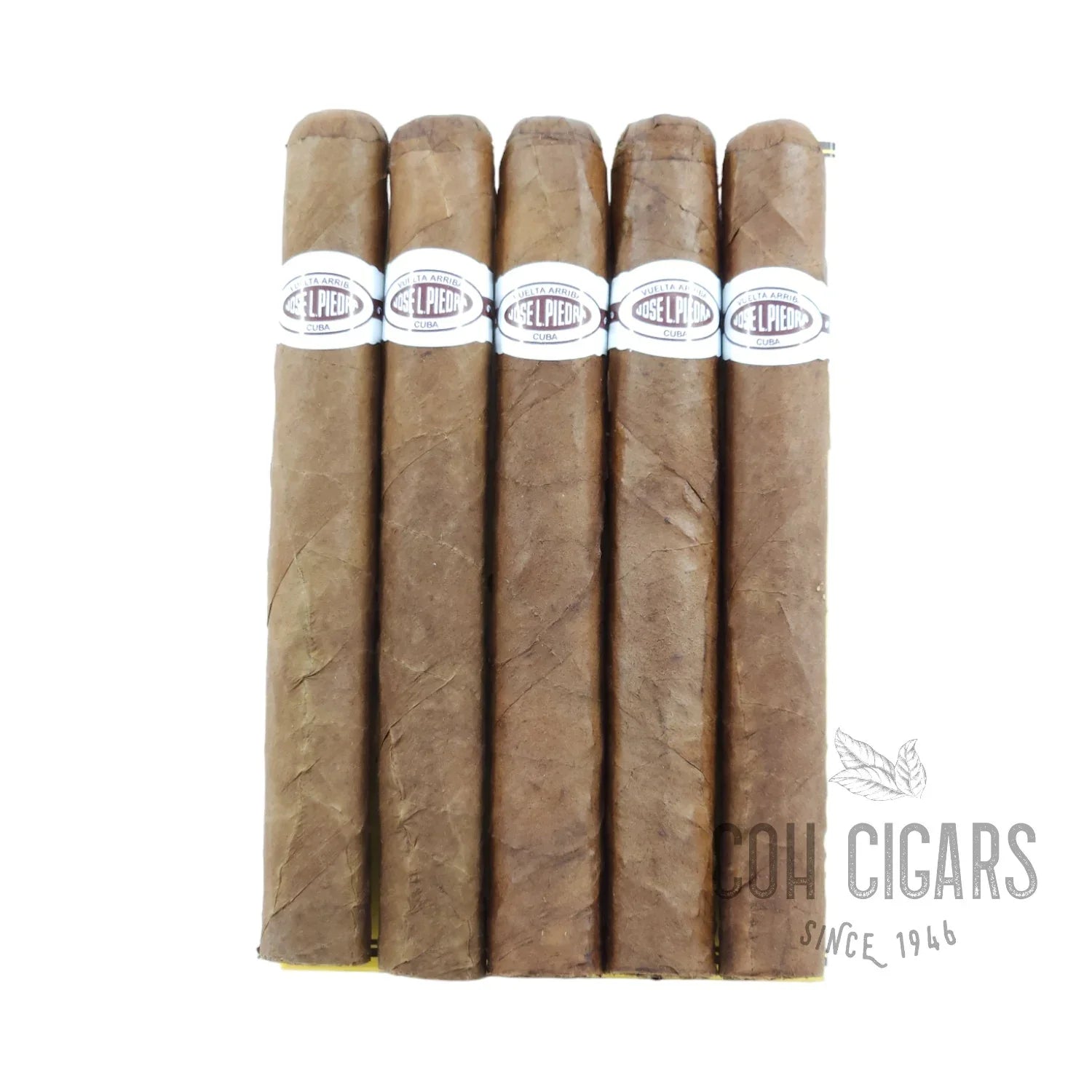 Conservas | Box 5 | Jose L. Piedra cigar - HK CohCigars -雪茄