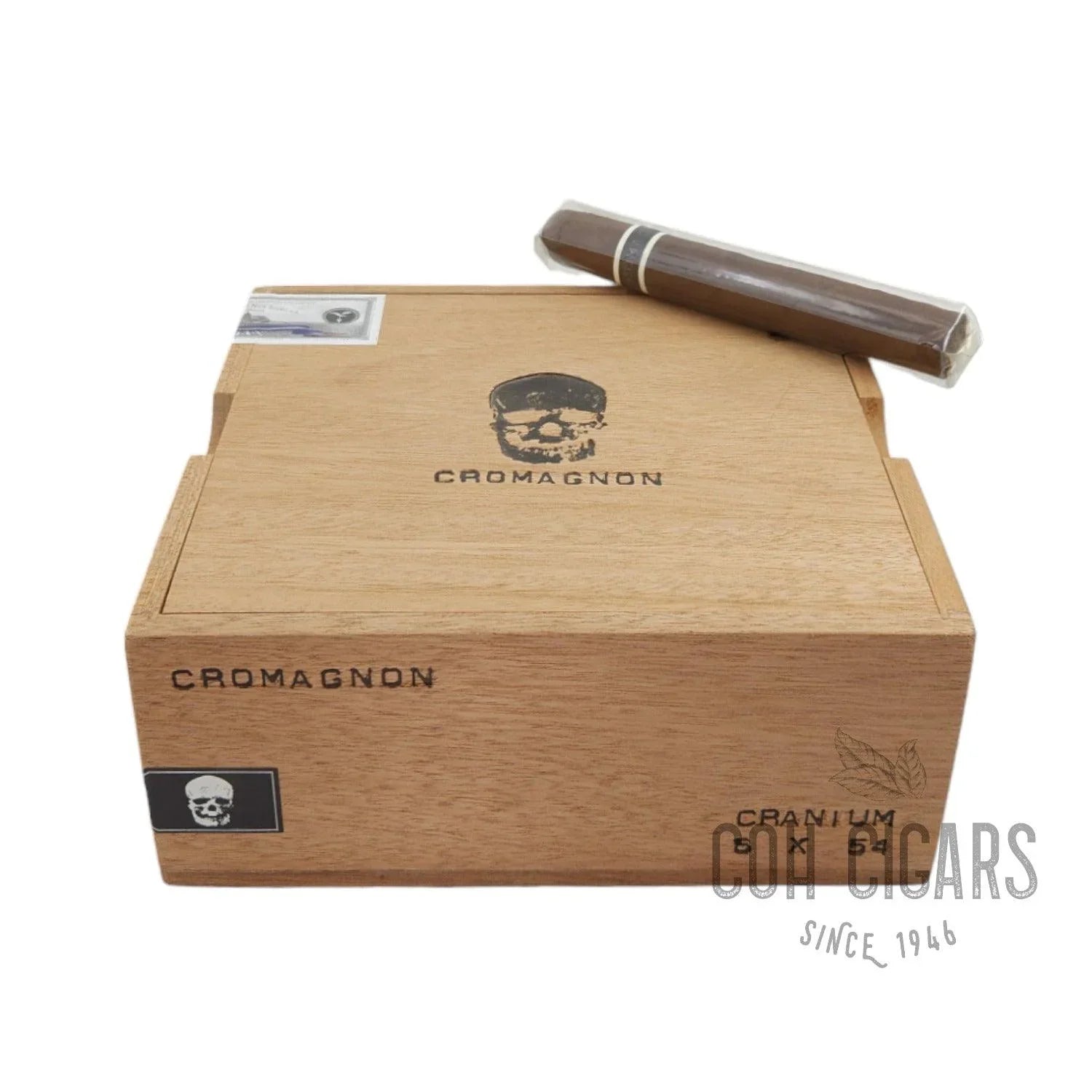 Cromagnon Cranium | Box 24 | Roma Craft Cigars - HK CohCigars -雪茄