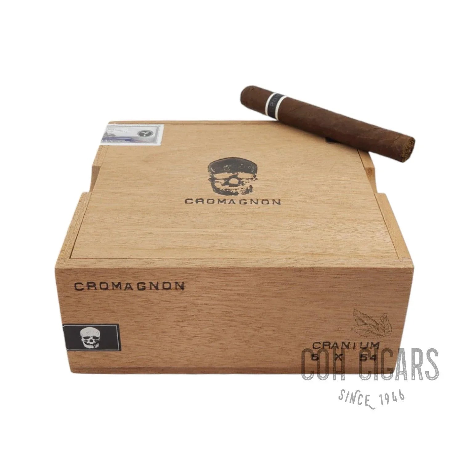 Cromagnon Cranium | Box 24 | Roma Craft Cigars - HK CohCigars -雪茄