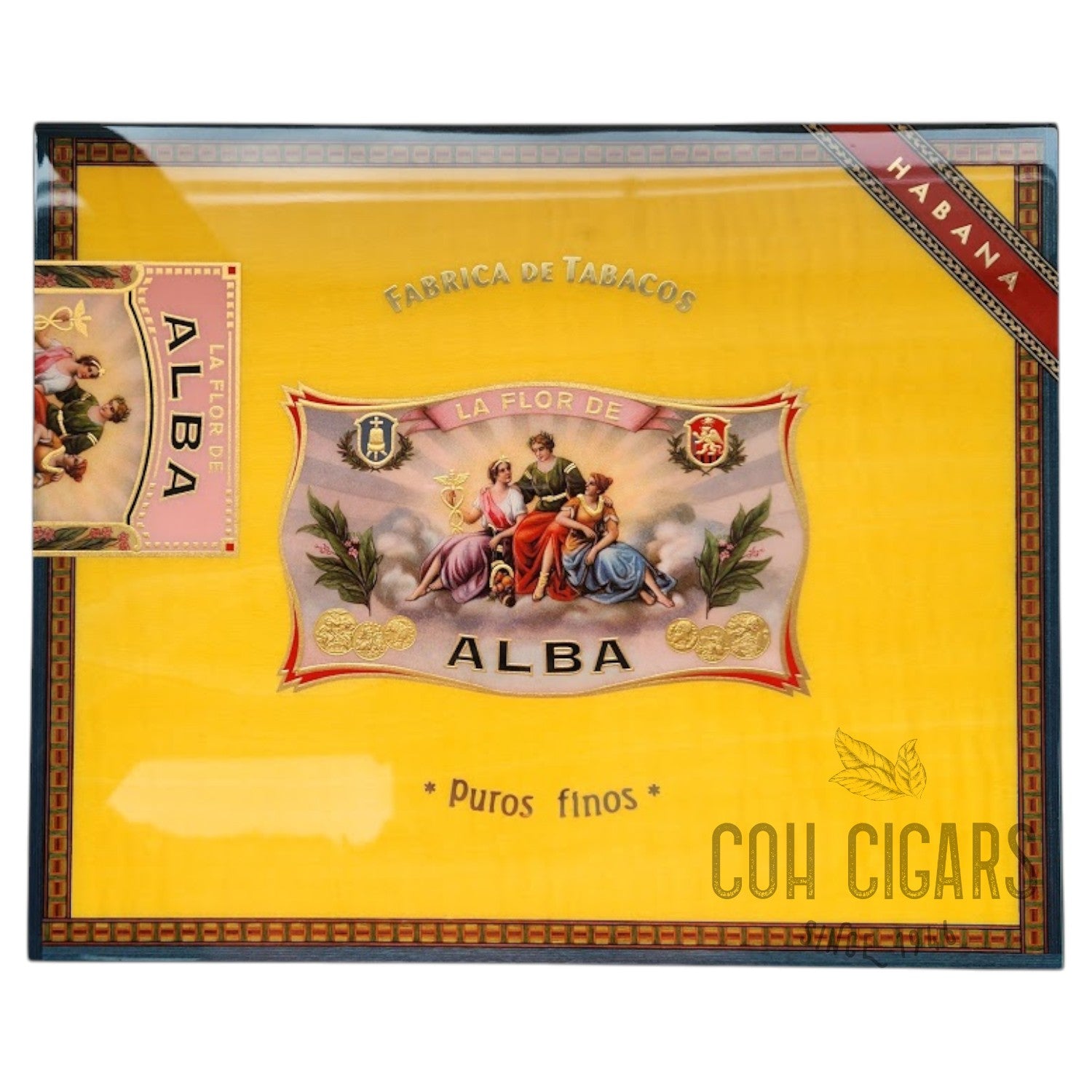 ELIE BLEU Cigar Humidor 75 cig. Alba Sycomore jaune d'or - HK CohCigars -雪茄