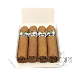 Entretiempos | Box 4 | Vegueros Cigars