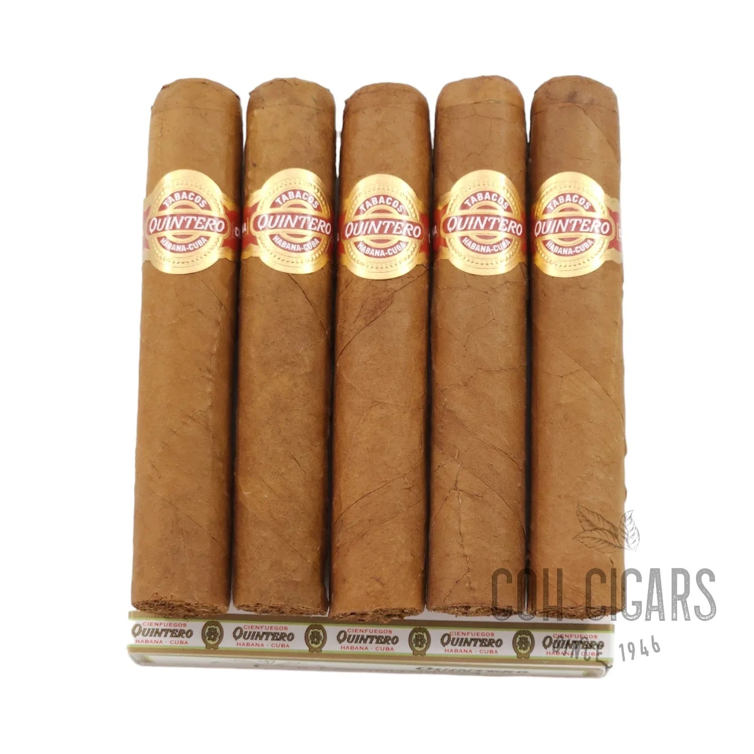 Favoritos | Box 5x5 | Quintero Y Hermano cigar - HK CohCigars -雪茄