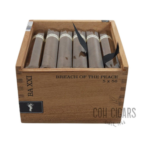 Intemperance BA XXI Breach Of The Peace 5 x 56 | Box 24 | Roma Craft cigar - HK CohCigars