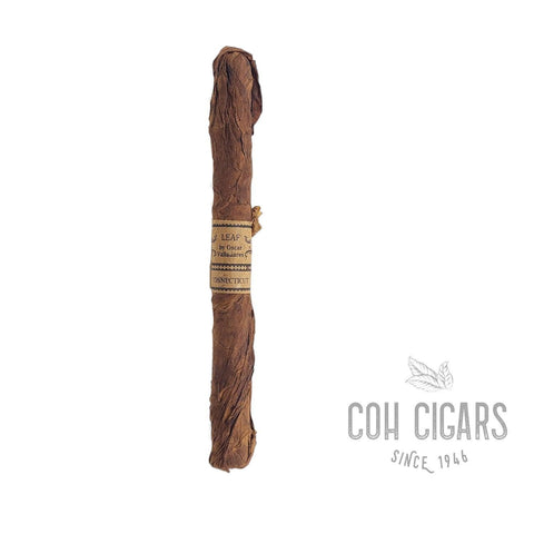Leaf Connecticut Lancero | Box 20 | Oscar cigar - HK CohCigars