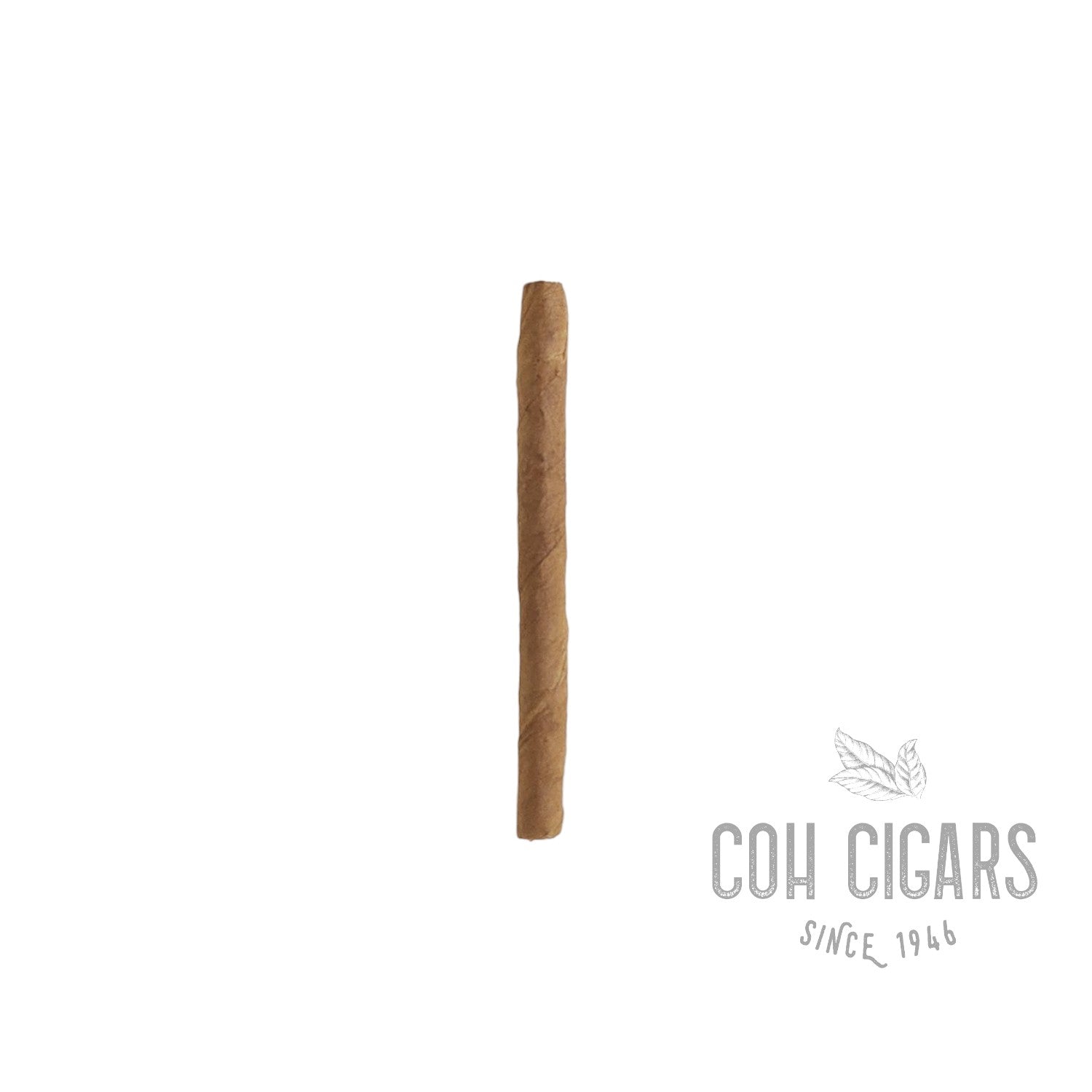 Mini (20 x 5) | Box 100 | Punch cigar - HK CohCigars -雪茄