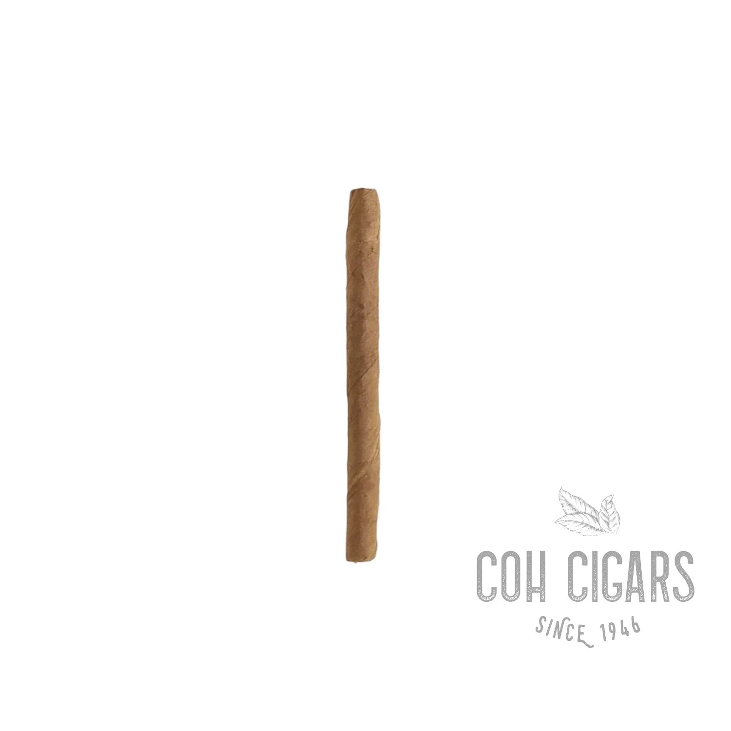 Mini | Box 20x5 | Punch Cigars - HK CohCigars -雪茄
