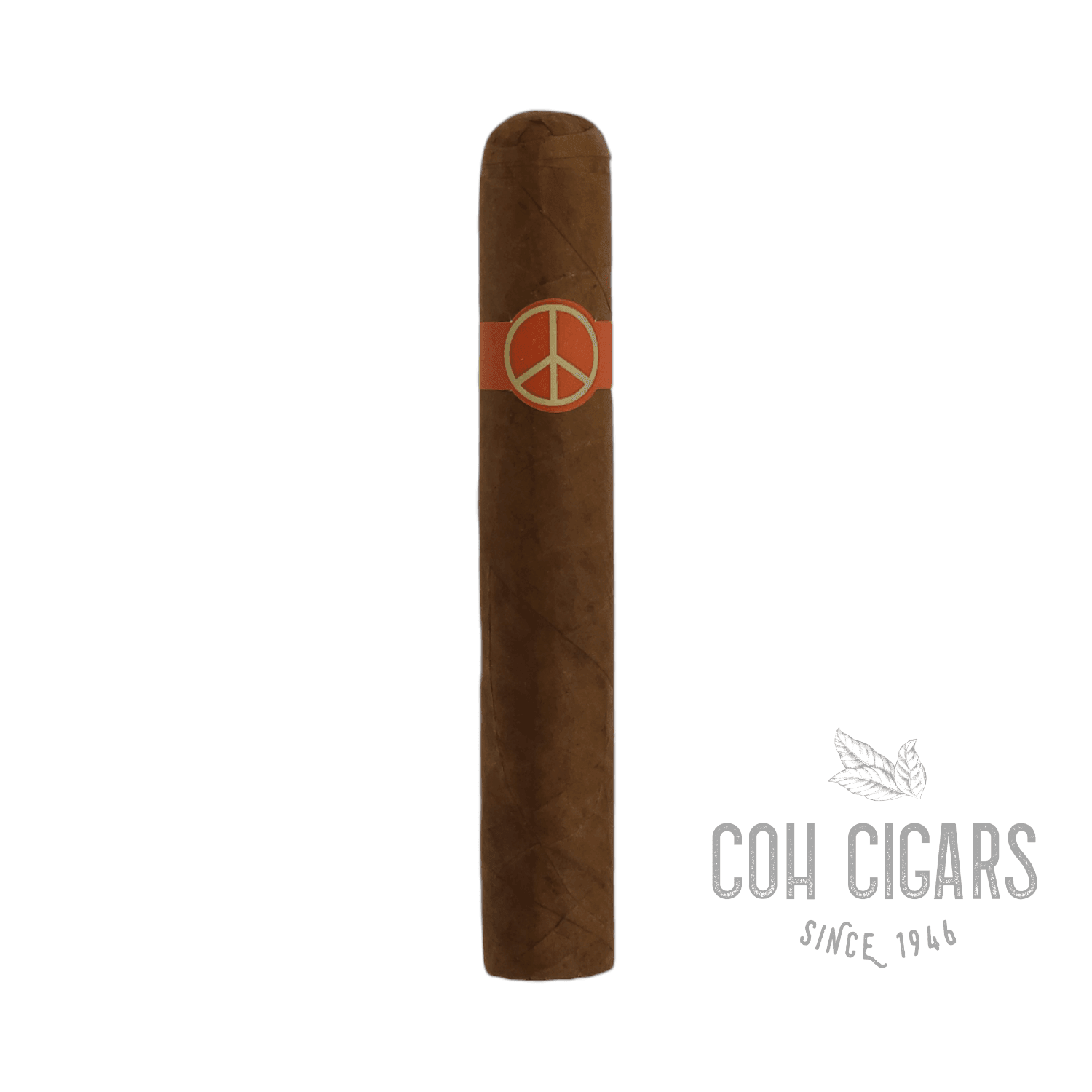 Oneoff Robustos | Box 10 | illusione Cigars - HK CohCigars -雪茄