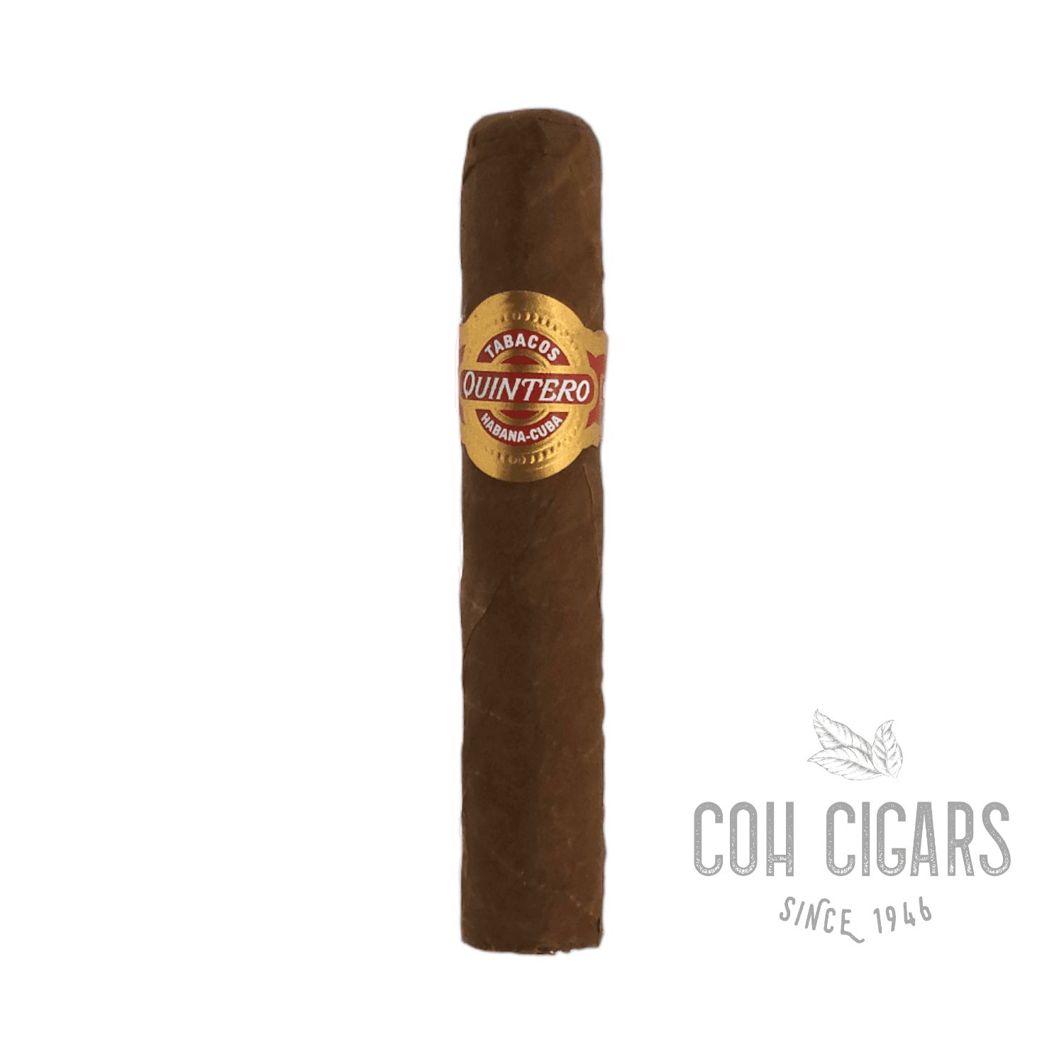 Petit Quintero | Single | Quintero Y Hermano Cigar - HK CohCigars -雪茄