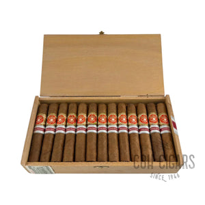 Robusto Regional Release Suiza 2005 (Original Release) | Box 25 | Punch Cigars