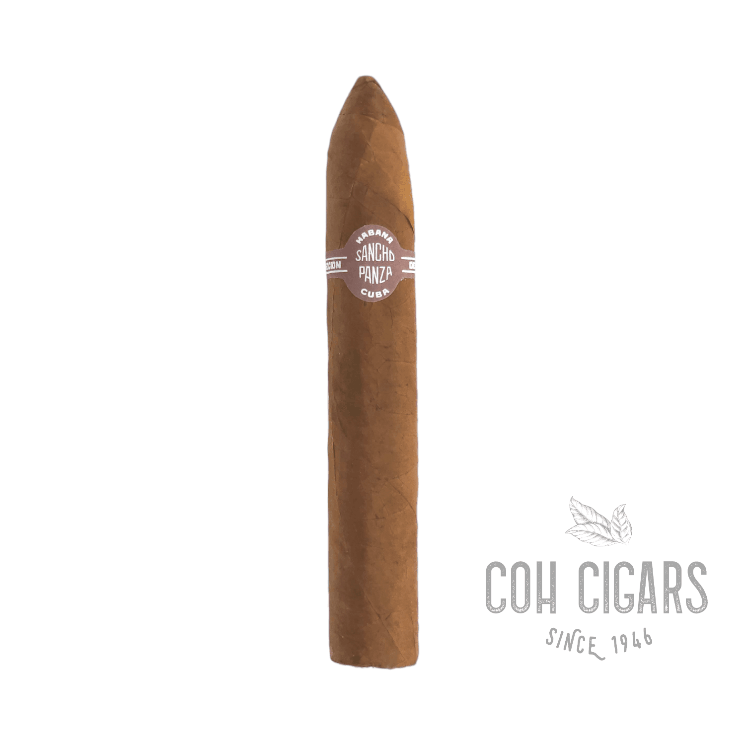 Sancho Panza Cigar | Belicosos | 5 Pack - HK CohCigars