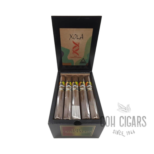 The Upsetters Zola | Box 20 | Foundation Cigars cigar - HK CohCigars