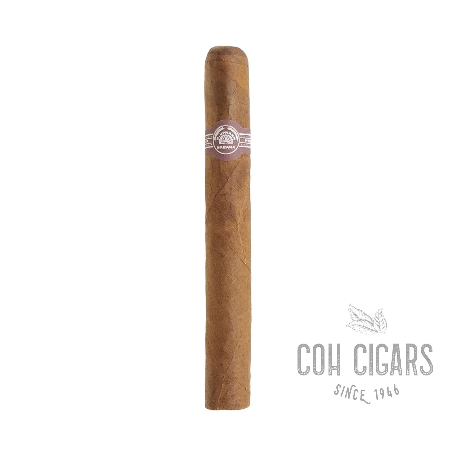 Vintage 2005 | H.Upmann Magnum 46 Box 3 - HK CohCigars -雪茄