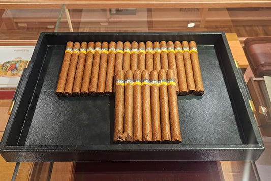 Vintage 2007 | Cohiba Esplendidos Box 25 (Slight Damage)(SN10011415)(7 Sticks Damaged - non-refundable item) - HK CohCigars -雪茄