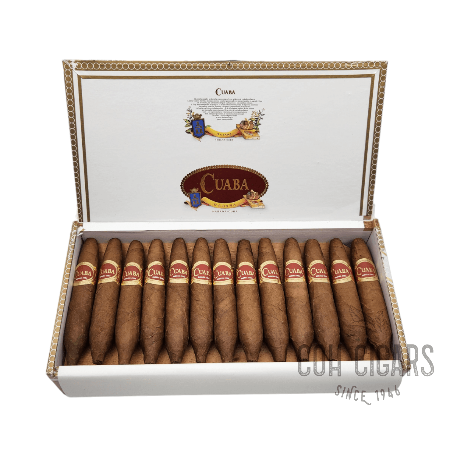 Vintage 2019 | Cuaba Divinos | Box 25 - HK CohCigars -雪茄