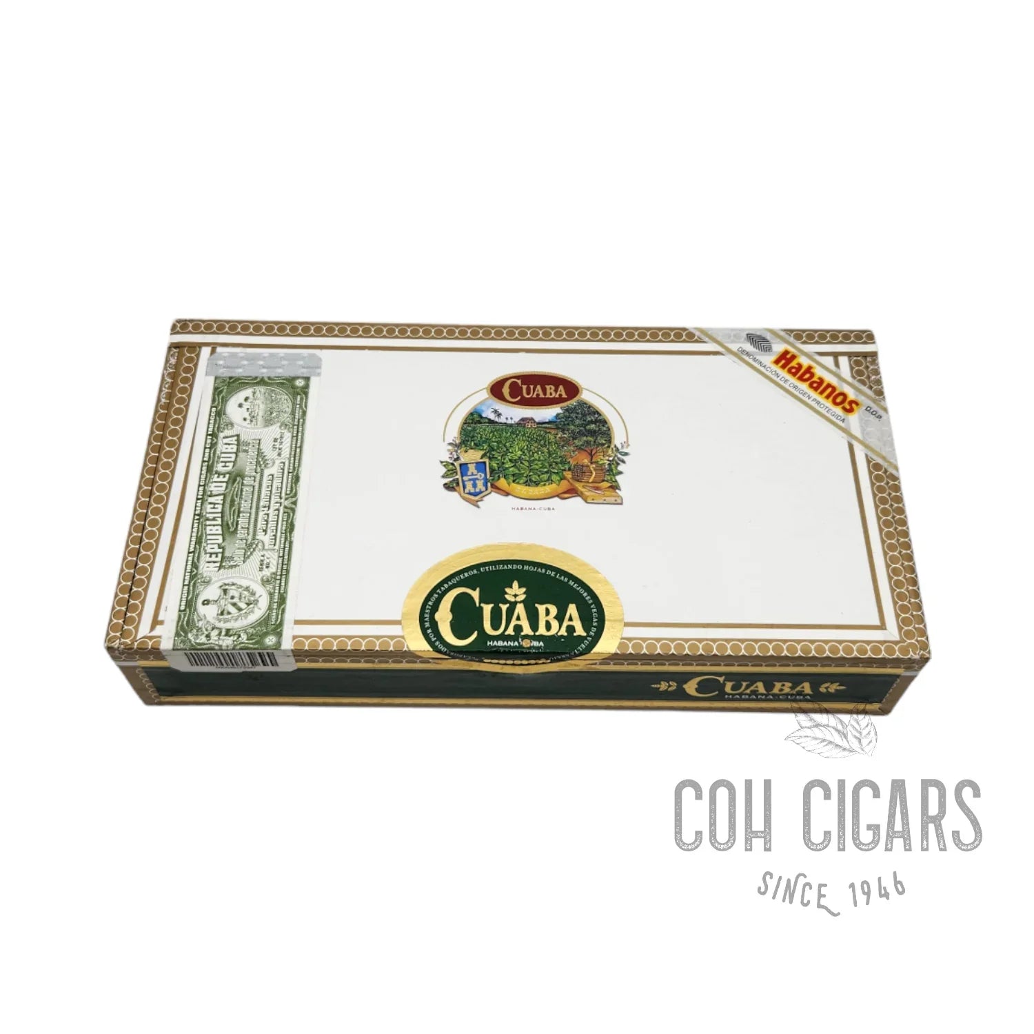 Vintage 2019 | Cuaba Divinos | Box 25 - HK CohCigars -雪茄